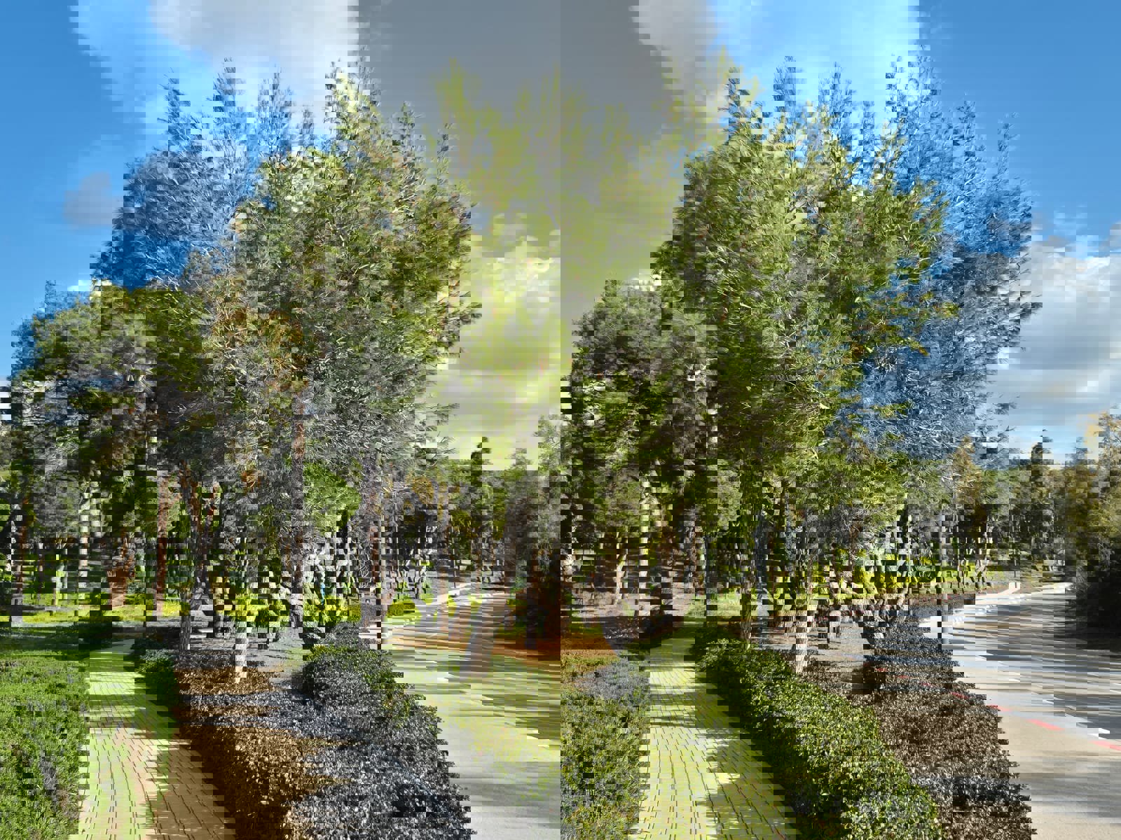 Neighborhood 13 - Image 7