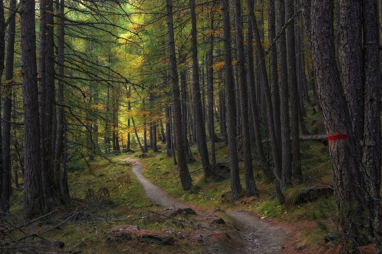 Caesarea - Old Colony - Image 2